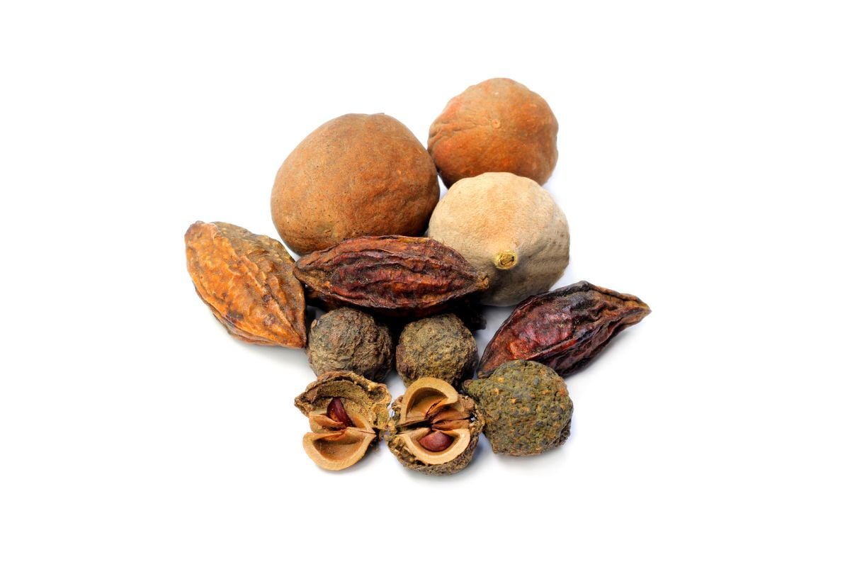 Learn How Triphala Benefits Weight Management