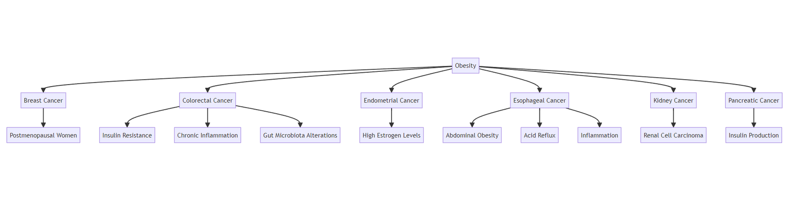 Types of Cancer Linked to Obesity 