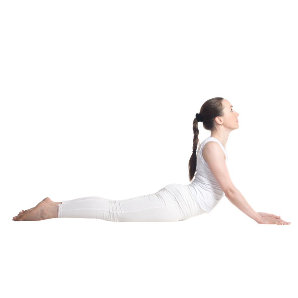 Cobra Pose (Bhujangasana)